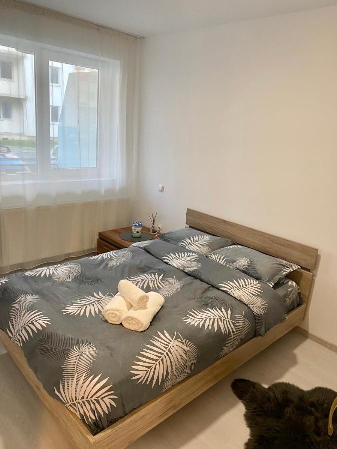 Apartament Irina 브라쇼브 외부 사진